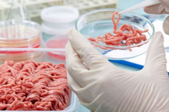 Industria 4.0: la revolución tecnológica en alimentos
