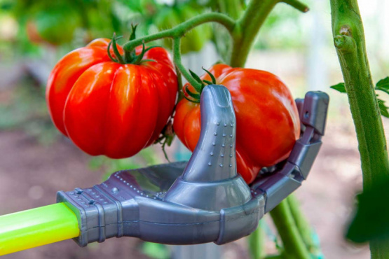 5 retos tecnológicos de la industria agrolimentaria en 2023