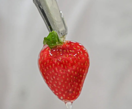 Desarrollan envases y recubrimientos comestibles a partir de residuos agroalimentarios
