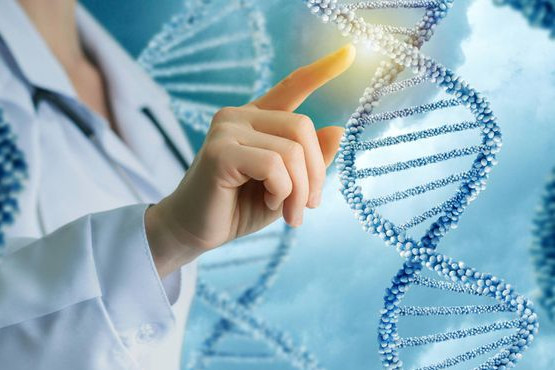Nutrición de precisión: de la generalidad a la individualización