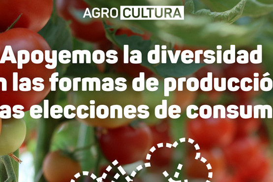 Presentan el proyecto colaborativo AgroCultura