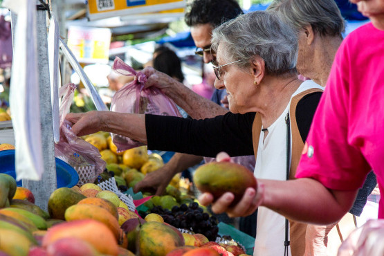 Latinoamérica es considerada por FAO como ejemplo a seguir para reducir el hambre